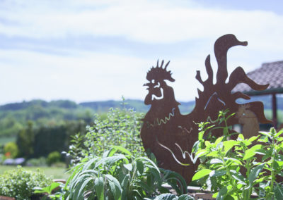 Kräuter aus dem eigenen Garten