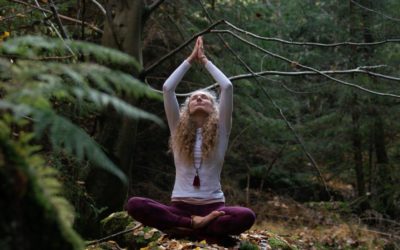 Guten Morgen im Wald – Erdung – Balance – Fokus – mit Lena Sommer