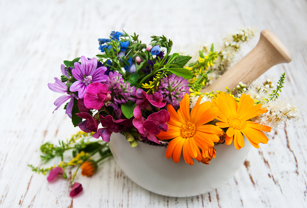 wildkräuterführung bad birnbach bayern essbare wildpflanzen farbige Blumen in Schüssel Aroma Touch Massage Doterra Hotel Sankt Leonhard Bad Birnbach Bayern Vegan Yoga Fitness Sport veganer Kochkurs