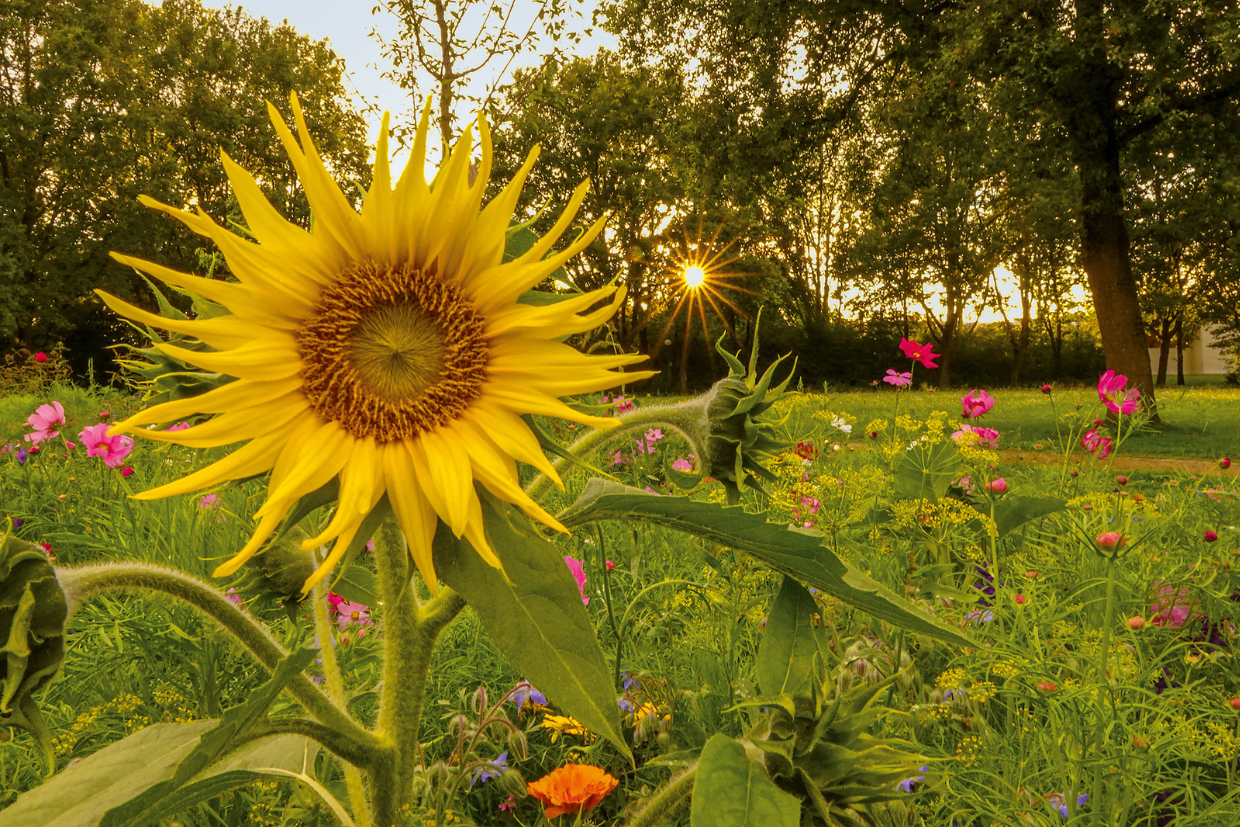 bad birnbach sparen sommerurlaub bayern yoga natur therme wandern biohotel vegan veganer kochkurs Junge Frau sitzt gemütlich im Sessel im Doppelzimmer des Hotels Sankt Leonhard und liest ein Magazin, umgeben von hellen Naturholzmöbeln und Holzwand.