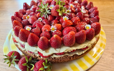 Köstlicher veganer Erdbeerkuchen im Juni