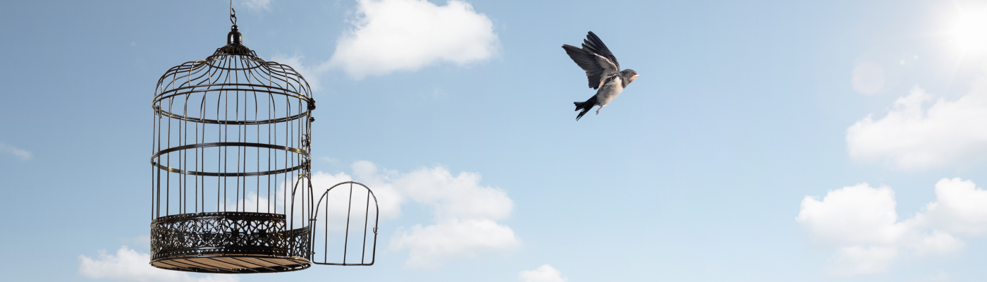 Vogel fliegt aus offenem Käfig in den Himmel – symbolisiert Freiheit, innere Wahrnehmung und das Loslassen von Begrenzungen durch „Sehen ohne Augen“.