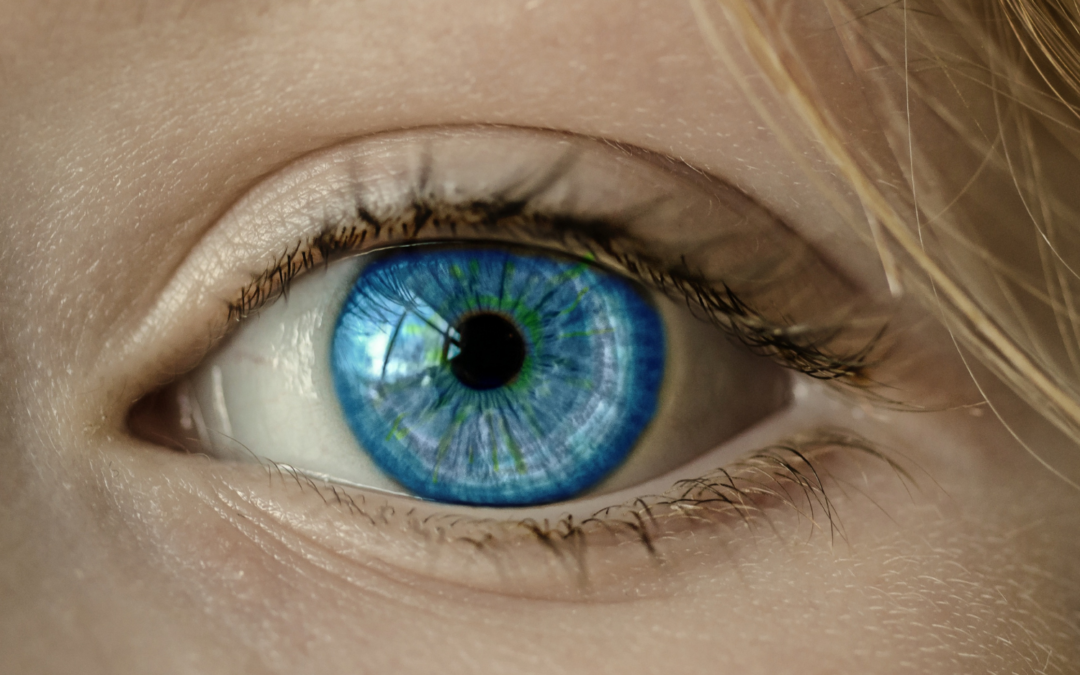 Sehen ohne Augen – Ein besonderes Seminar-Wochenende im Hotel Sankt Leonhard