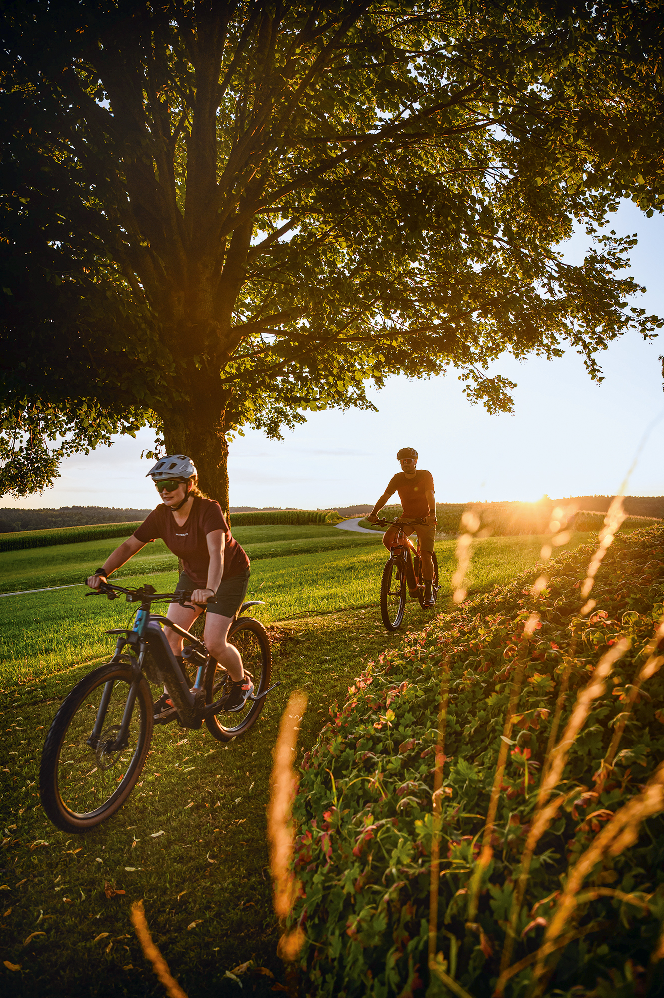 Hausgemachtes Bircher-Müsli mit frischen Bio-Zutaten auf Frühstückstisch im Hotel Sankt Leonhard Bad Birnbach