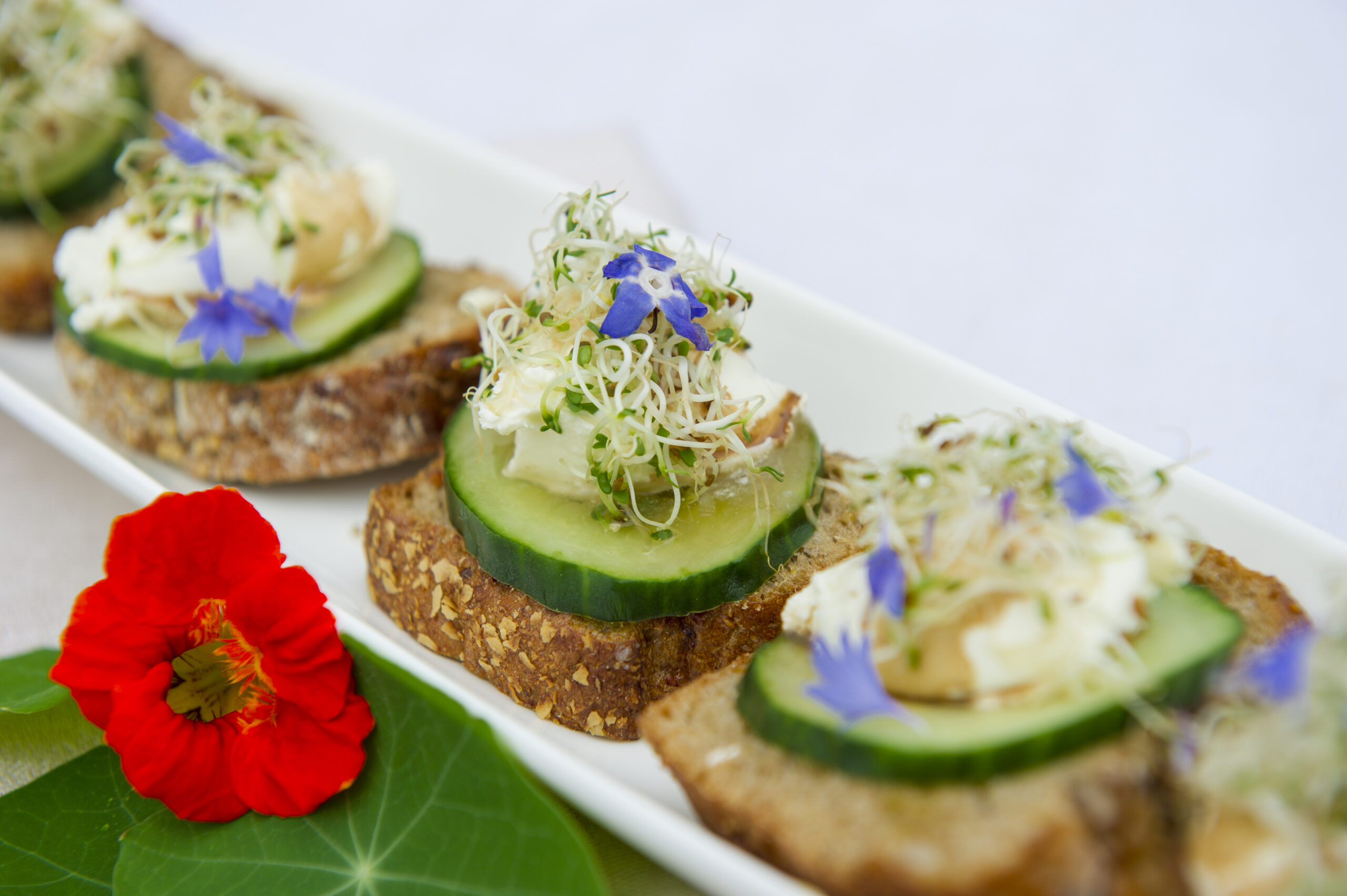 Frisches Frühstücksbrötchen mit Bio-Wildkräutern und Sprossen im Hotel Sankt Leonhard, Bad Birnbach
