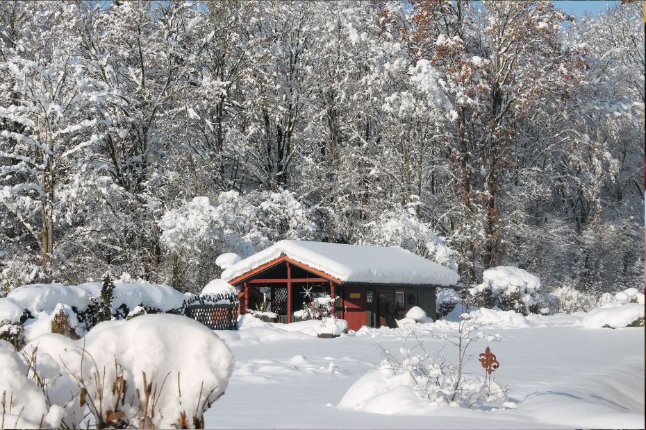 Schnee Bad Birnbach Sport Yoga Bad Birnbach Marcel Schade Personal Training Fitness ganzheitlich gesund urlaub Hotel Sankt Leonhard Ernährungsberatung vegan golf