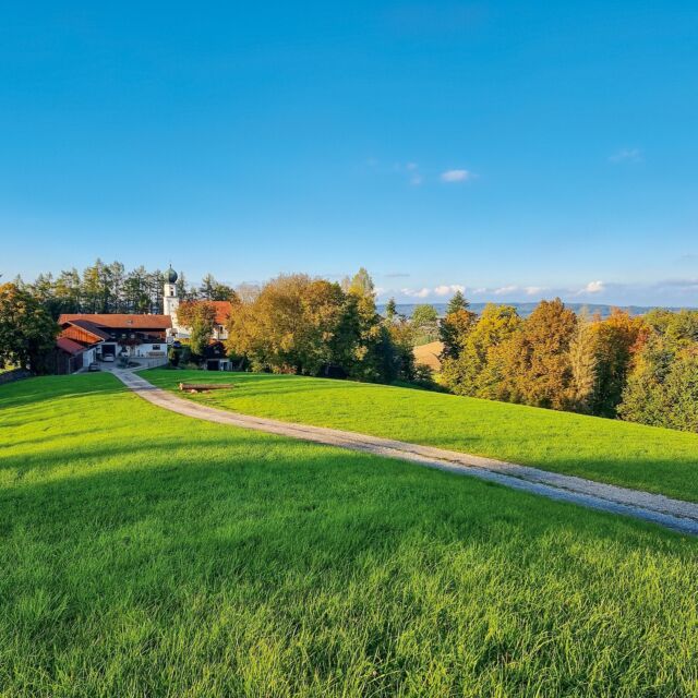 Wandern im Rottal 🌳🌾🌻🍂

Im wunderschönen Bäderdreieck erwarten dich einzigartige Wandererlebnisse für jeden Geschmack. Freu dich auf geführte Wanderungen, die atemberaubende Ausblicke auf malerische Landschaften bieten. Entdecke idyllische Plätze, lausche spannenden Geschichten über Land, Leute und Kultur und gönn dir eine wohltuende Auszeit in der Natur. ☀️

Mehr Informationen zu unseren Zimmern und Wohlfühlangeboten findest du unter:

▶️ www.hotel-sankt-leonhard.de

Gerne beraten wir dich auch telefonisch unter der Nummer:

☎️ +49 (0)8563 96070

#badbirnbach #niederbayern #bayern #deutschland #urlaubindeutschland #urlaubinbayern #biofrühstück #bio #frühstück #vegan #vegetarisch #ganzheitlich #bewusst #gesund #natürlich #hotel #natur #wildkräuter #wildpflanzen #essbarewildpflanzen #funktionellestraining #sport #fitness #personaltraining #yoga #qigong #kochkurs #veganerkochkurs #wildkräuterwanderung